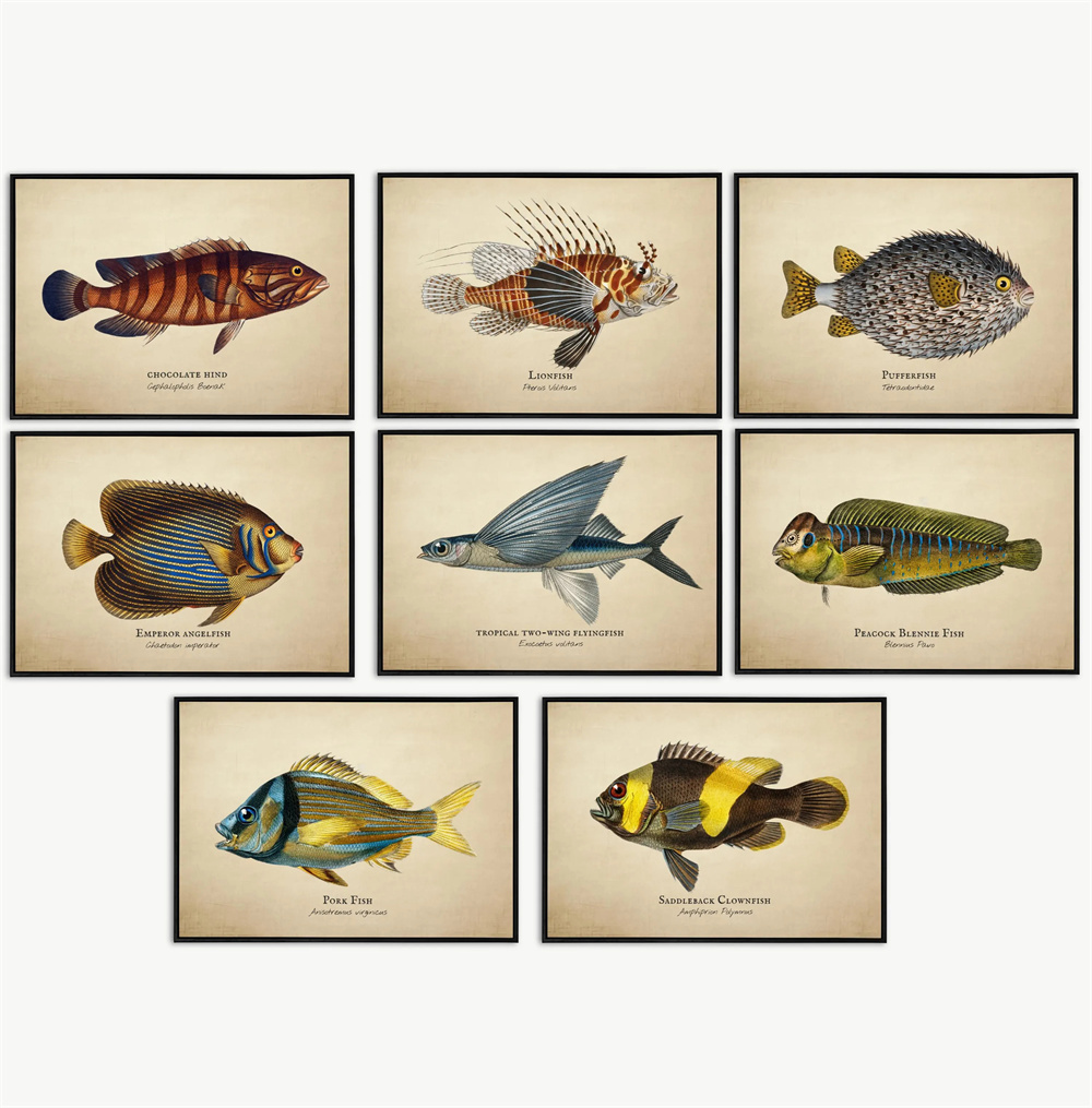 Marine Aquarium Home - Cuadros Vintage de Peces Tropicales, Medusas