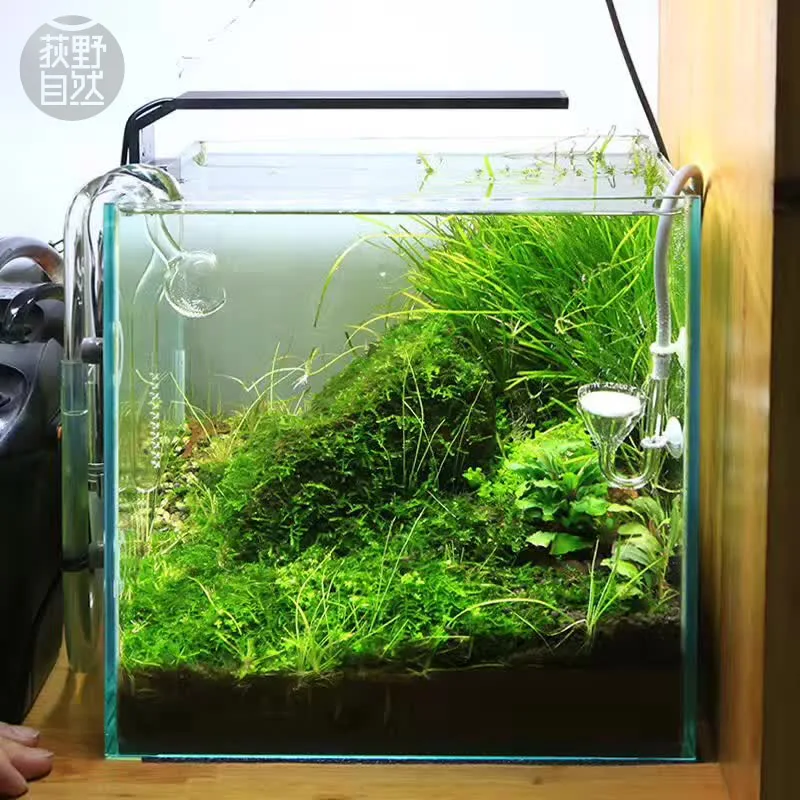 Marine Aquarium Led Lights - Chihiros Serie C Planta estilo ADA