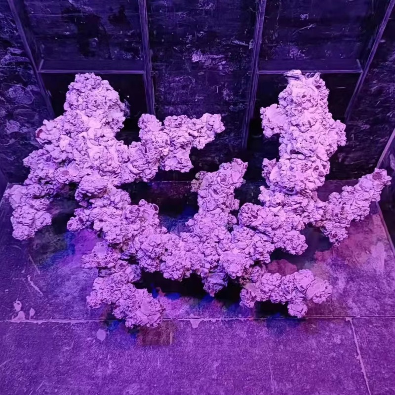 Piedras Decorativas para Acuar - Aquarium Marine Rock reseña y precio