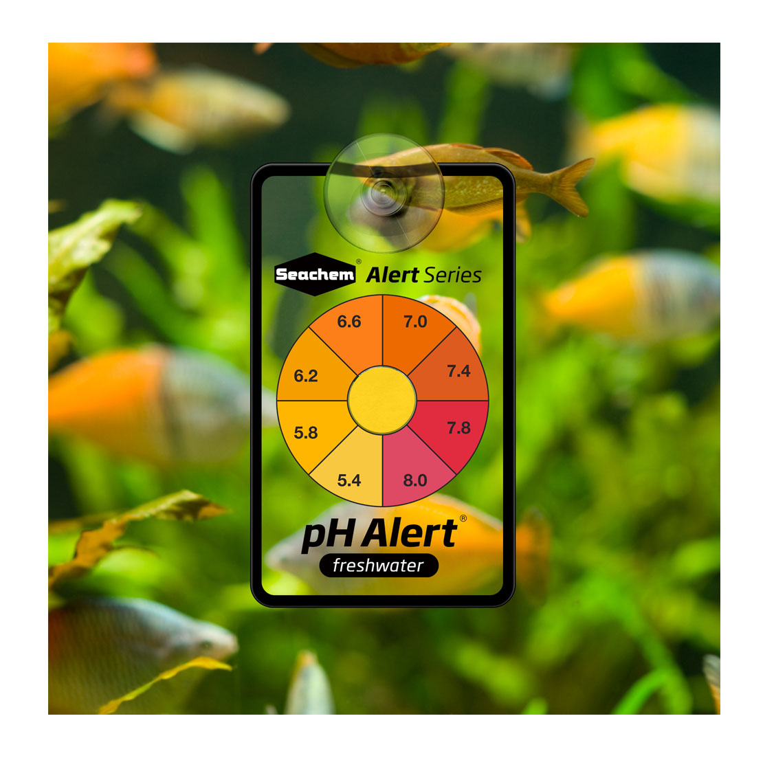 Seachem-prueba de agua, alerta - Marine Aquarium Test Kit reseña y precio