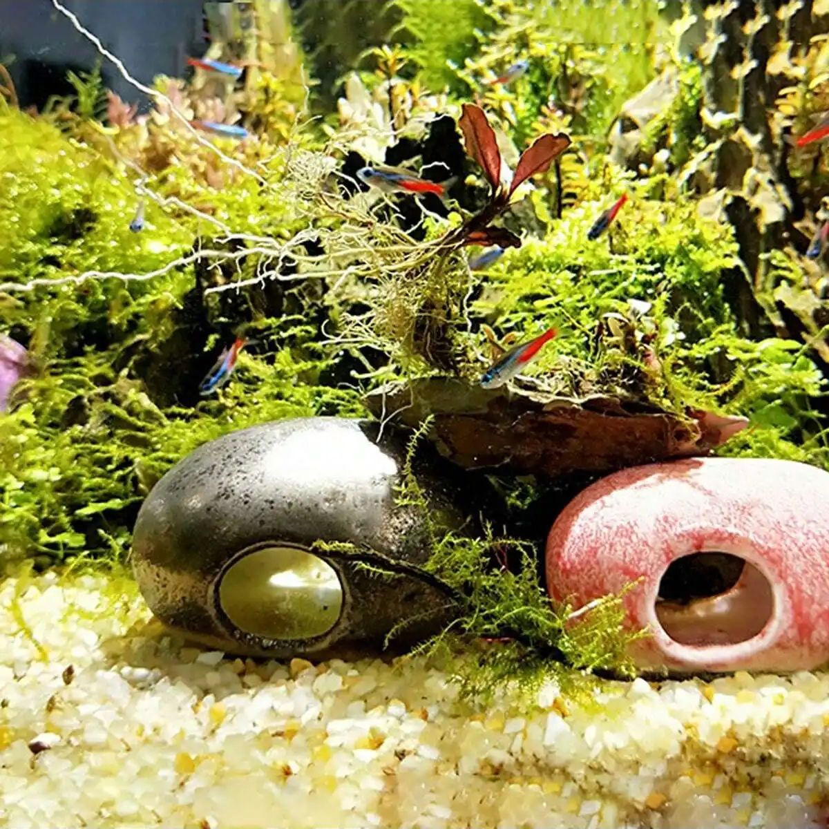 1 unidad-250g de cristales nat - Marine Aquarium Hobby reseña y precio