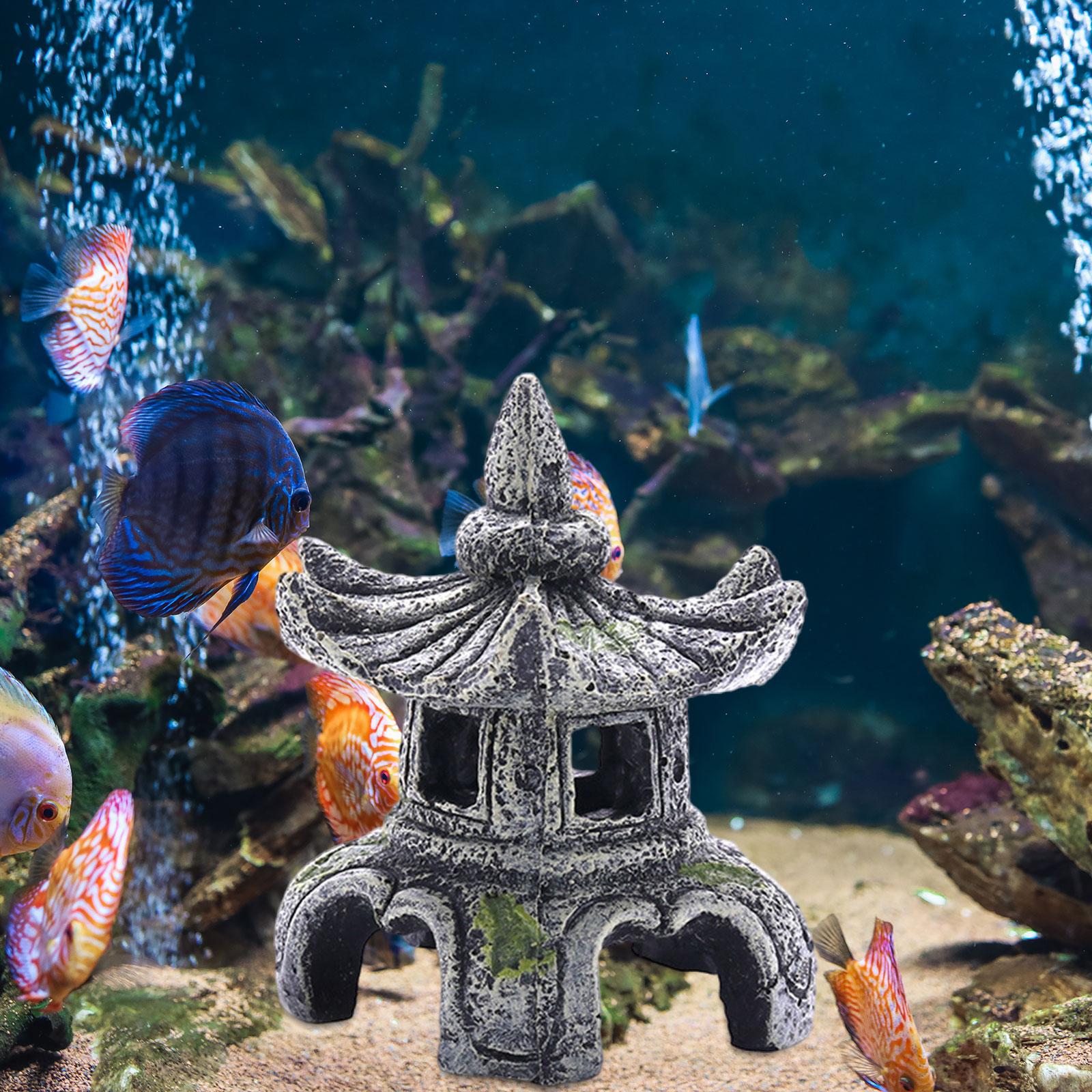 Adorno para acuario, accesorio - Marine Aquarium Hobby reseña y precio