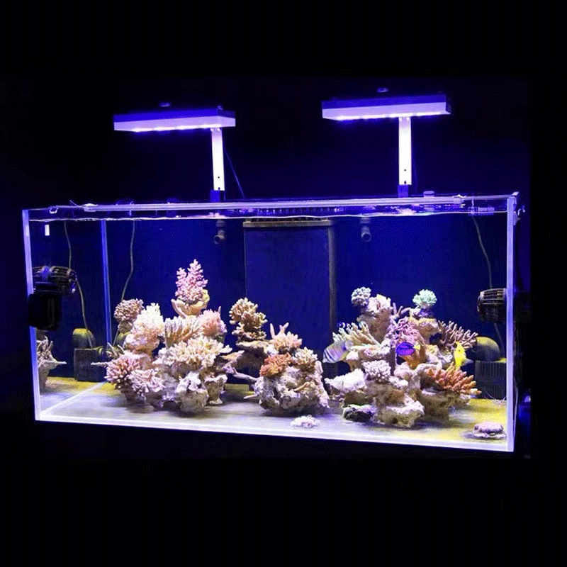 Aqua Lighting AI Hydra 32HD/64 - Marine Aquarium Led Lights reseña y precio
