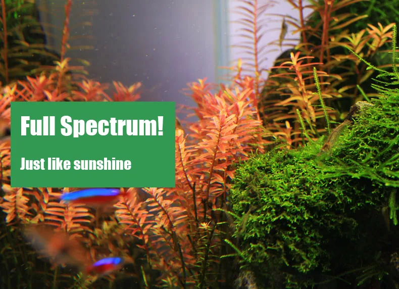 Chihiros Serie C Planta estilo - Marine Aquarium Led Lights reseña y precio