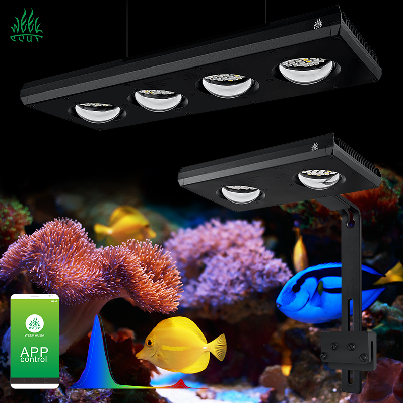 ZXY gran oferta WEEKAQUA Z250  - Marine Aquarium Led Lights reseña y precio