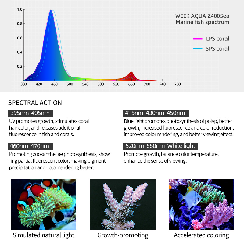 ZXY gran oferta WEEKAQUA Z250  - Marine Aquarium Led Lights reseña y precio