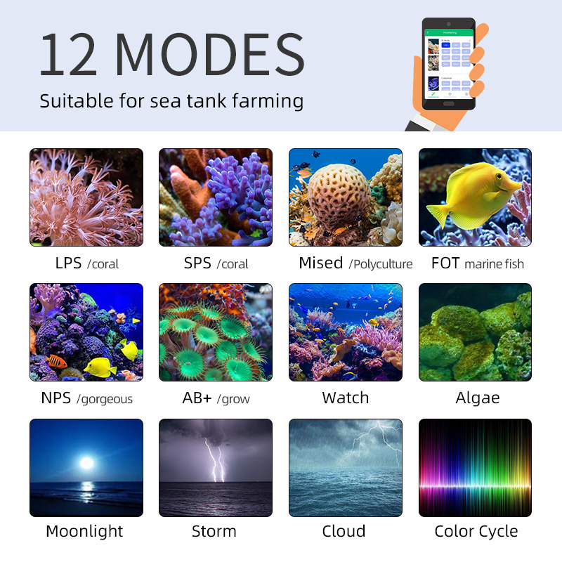 ZXY gran oferta WEEKAQUA Z250  - Marine Aquarium Led Lights reseña y precio