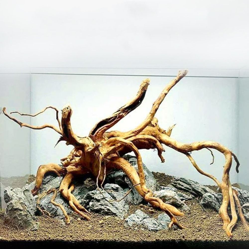 Decoración de tronco de árbol  - Marine Aquarium Hobby reseña y precio