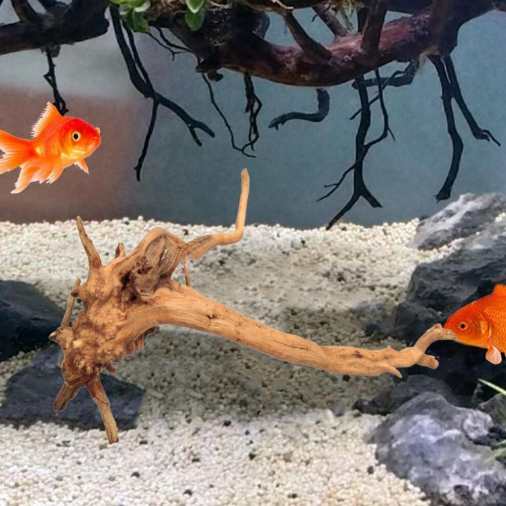 Decoración de tronco de árbol  - Marine Aquarium Hobby reseña y precio