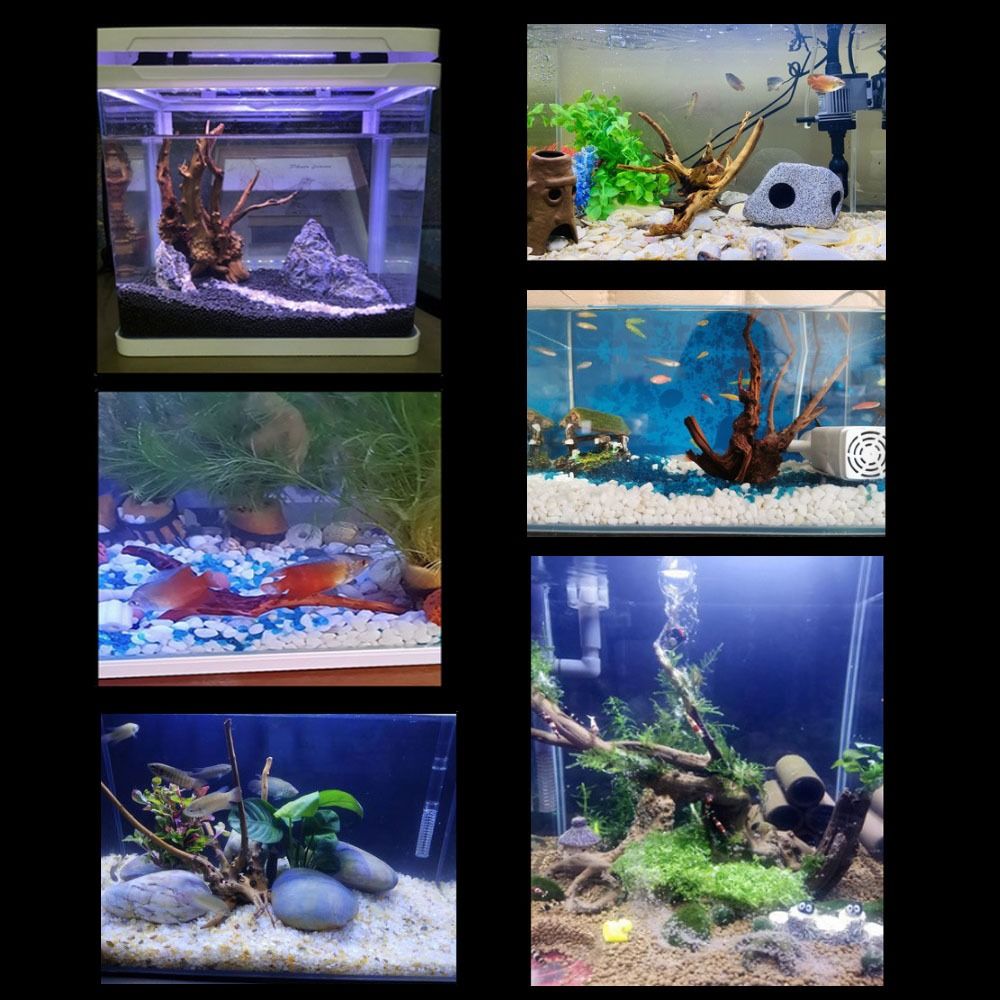 Decoración de tronco de árbol  - Marine Aquarium Hobby reseña y precio