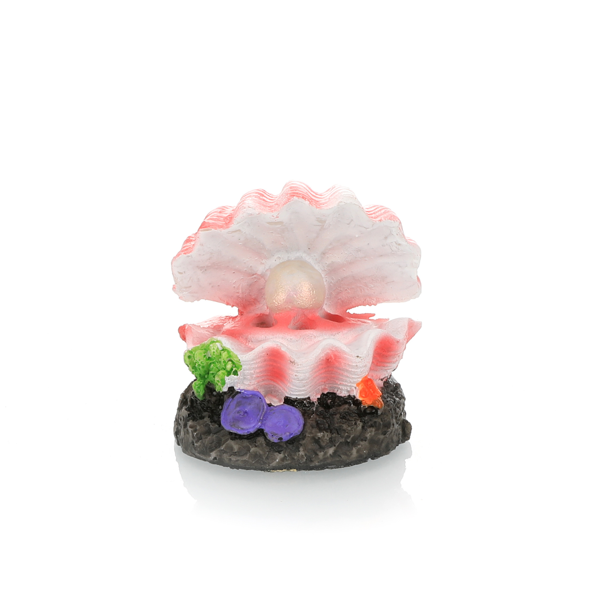 Simulación de paisajismo para  - Marine Aquarium Hobby reseña y precio