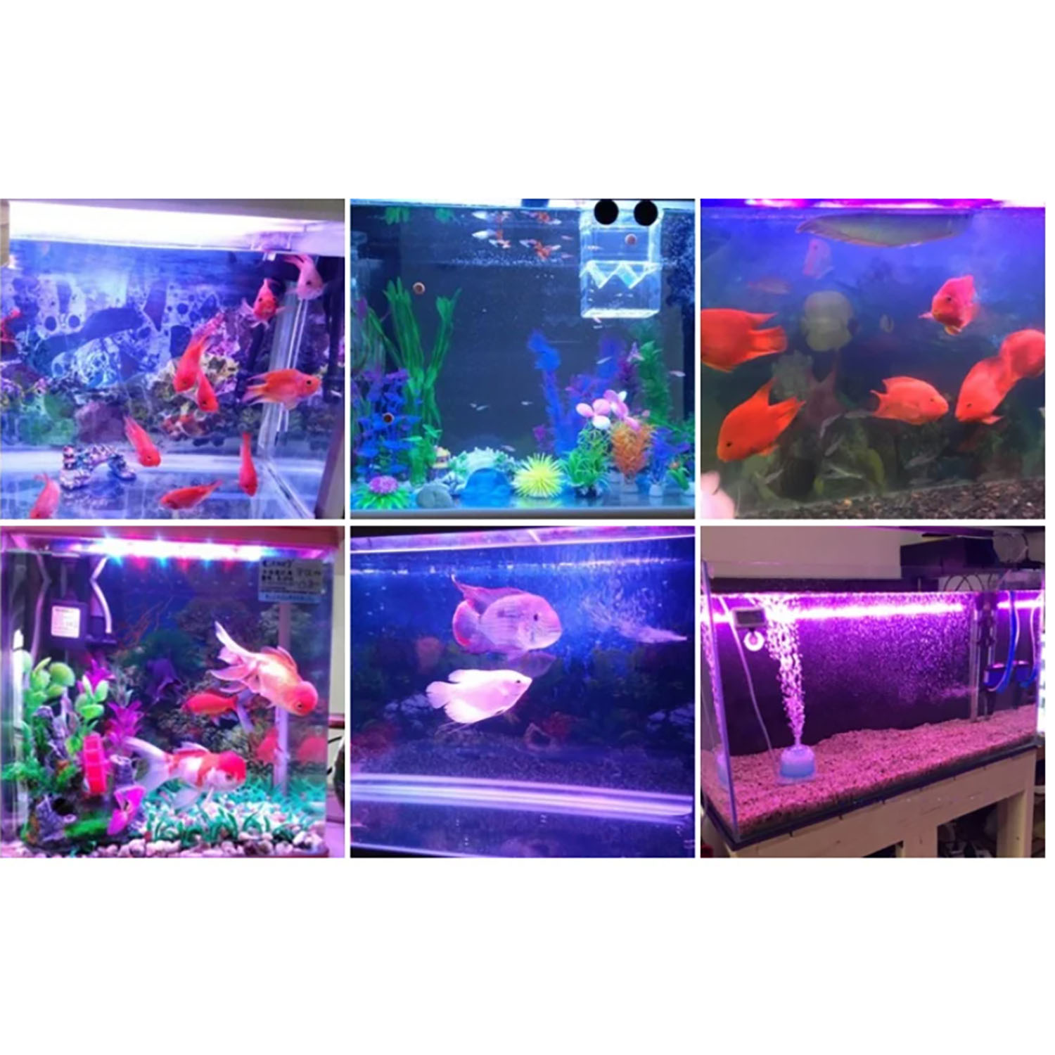 Iluminación LED para Acuarios  - Marine Aquarium Led Lights reseña y precio