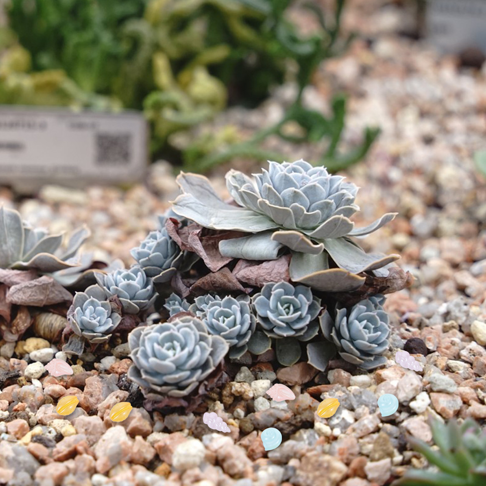 20 Piezas de Miniaturas de Ani - Marine Aquarium Home reseña y precio