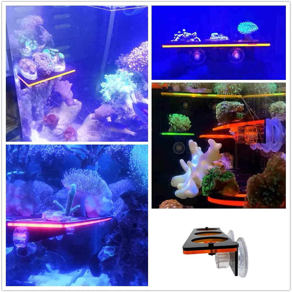 Soporte de enchufe de Coral fl - Marine Aquarium Hobby reseña y precio